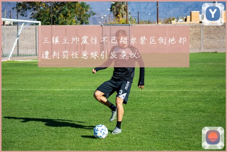 三镇主帅震惊不已绍尔禁区倒地却遭判罚任意球引发争议